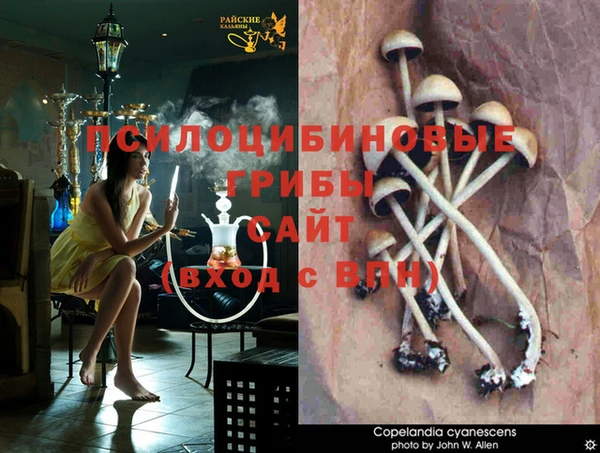 Альфа ПВП Балахна