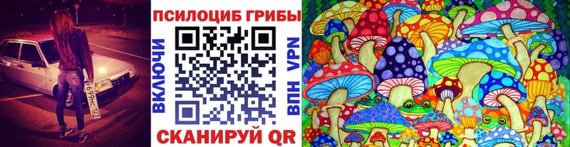 Галлюциногенные грибы Psilocybine cubensis  Харабали 
